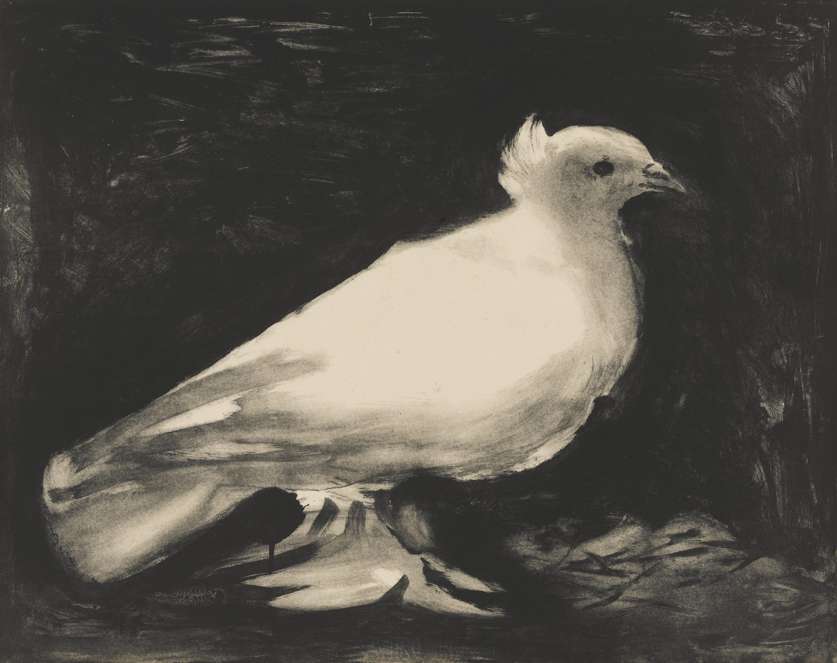 Dove by Pablo Picasso